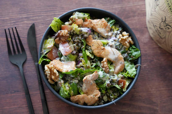 Protein Salat mit Linsensprossen