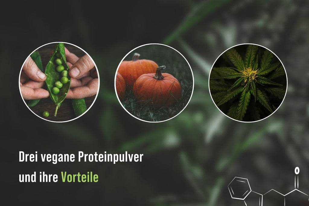 Drei vegane Protein Pulver und ihre Vorteile