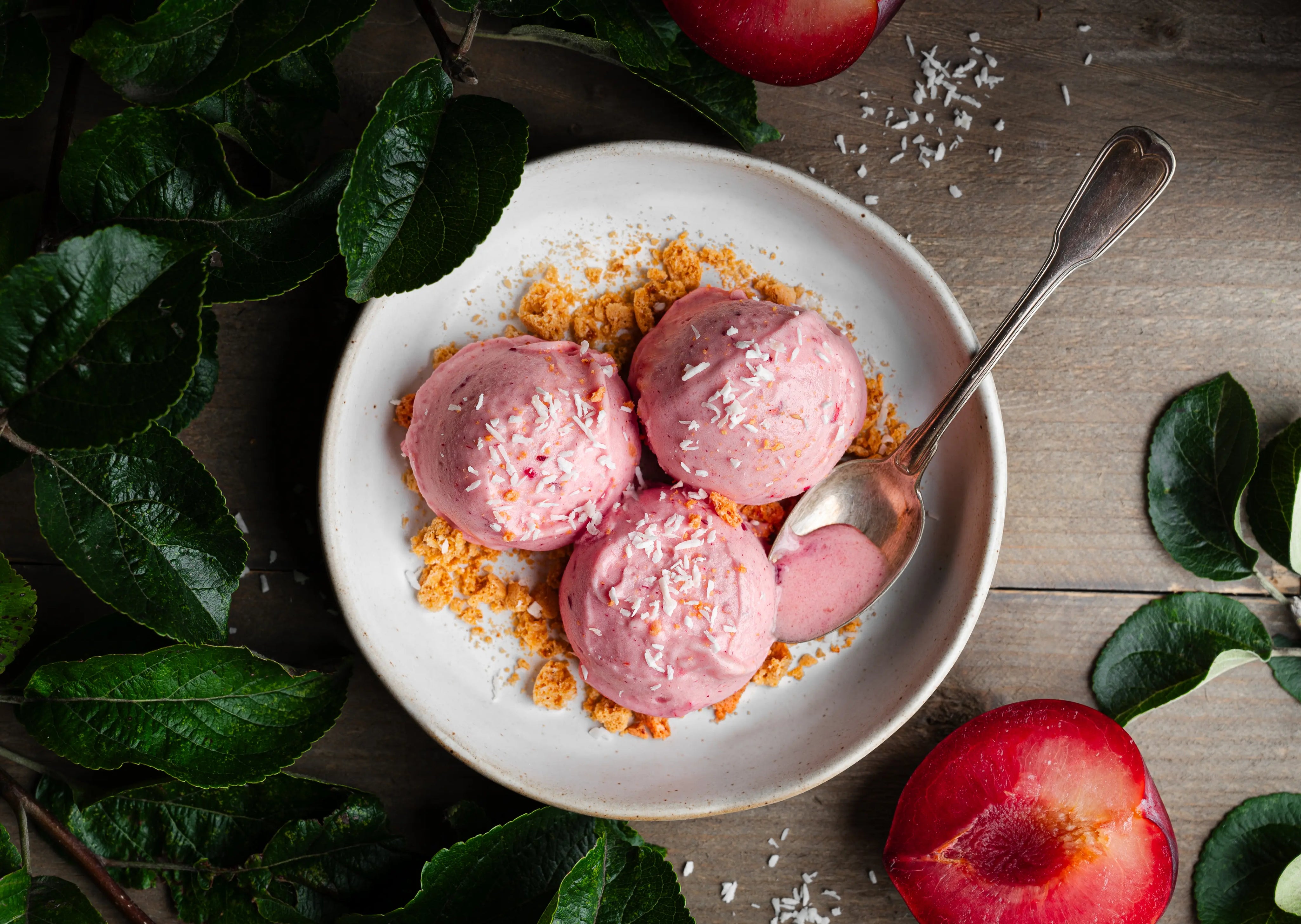 Pflaumen Protein Eiscreme aus 3 Zutaten