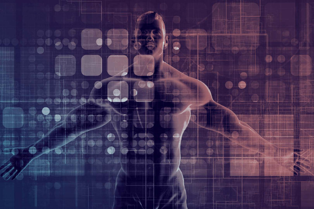 5 Gewohnheiten für den optimalen Tag