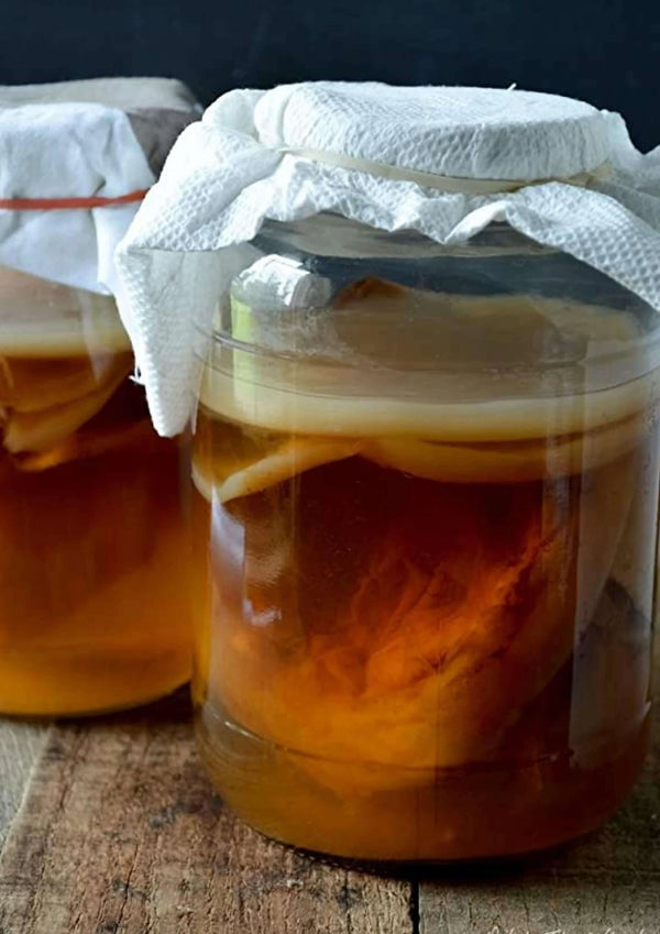 Kombucha selber machen