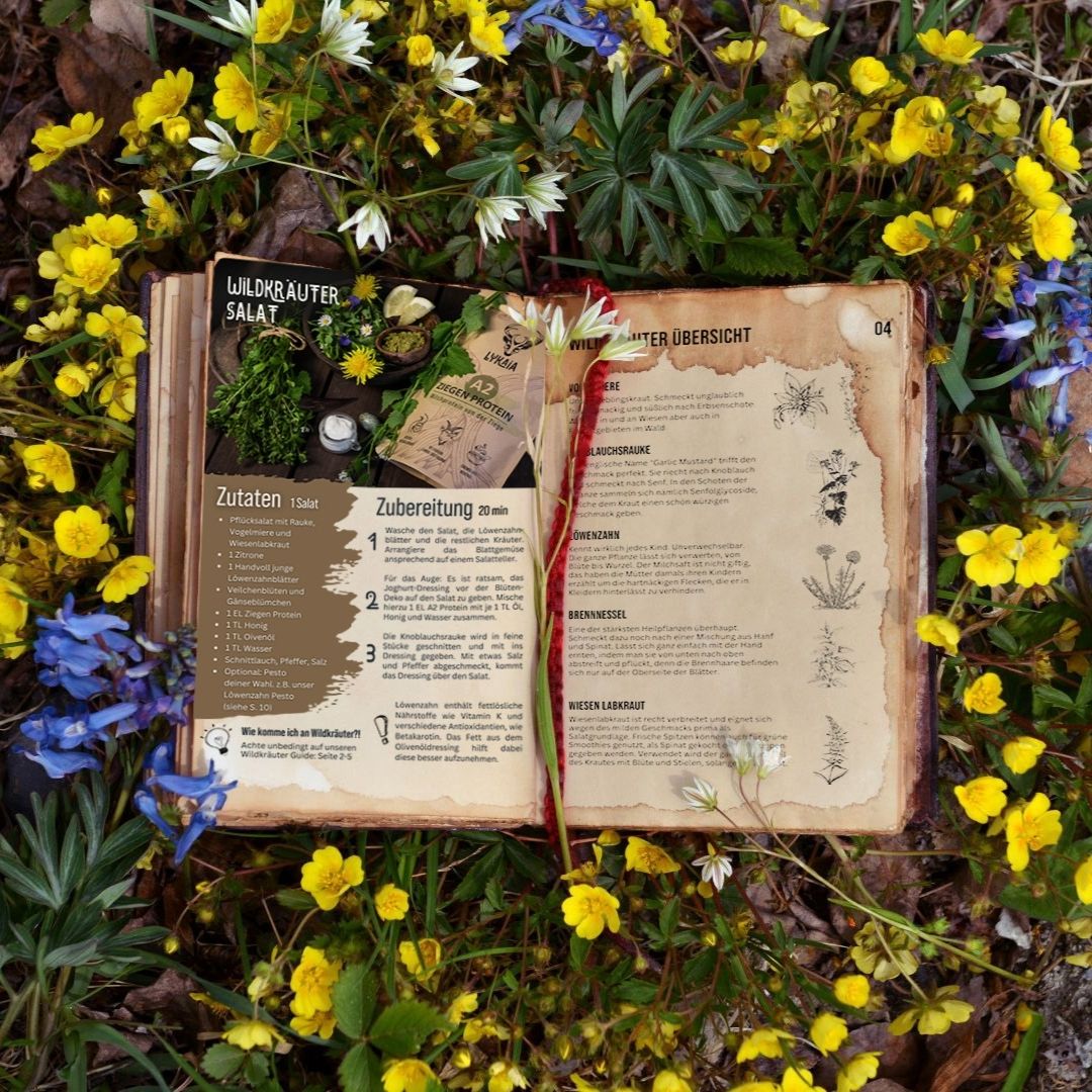 Wild herbs guide spring/summer 