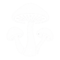 Vitalpilze
