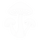 Vitalpilze