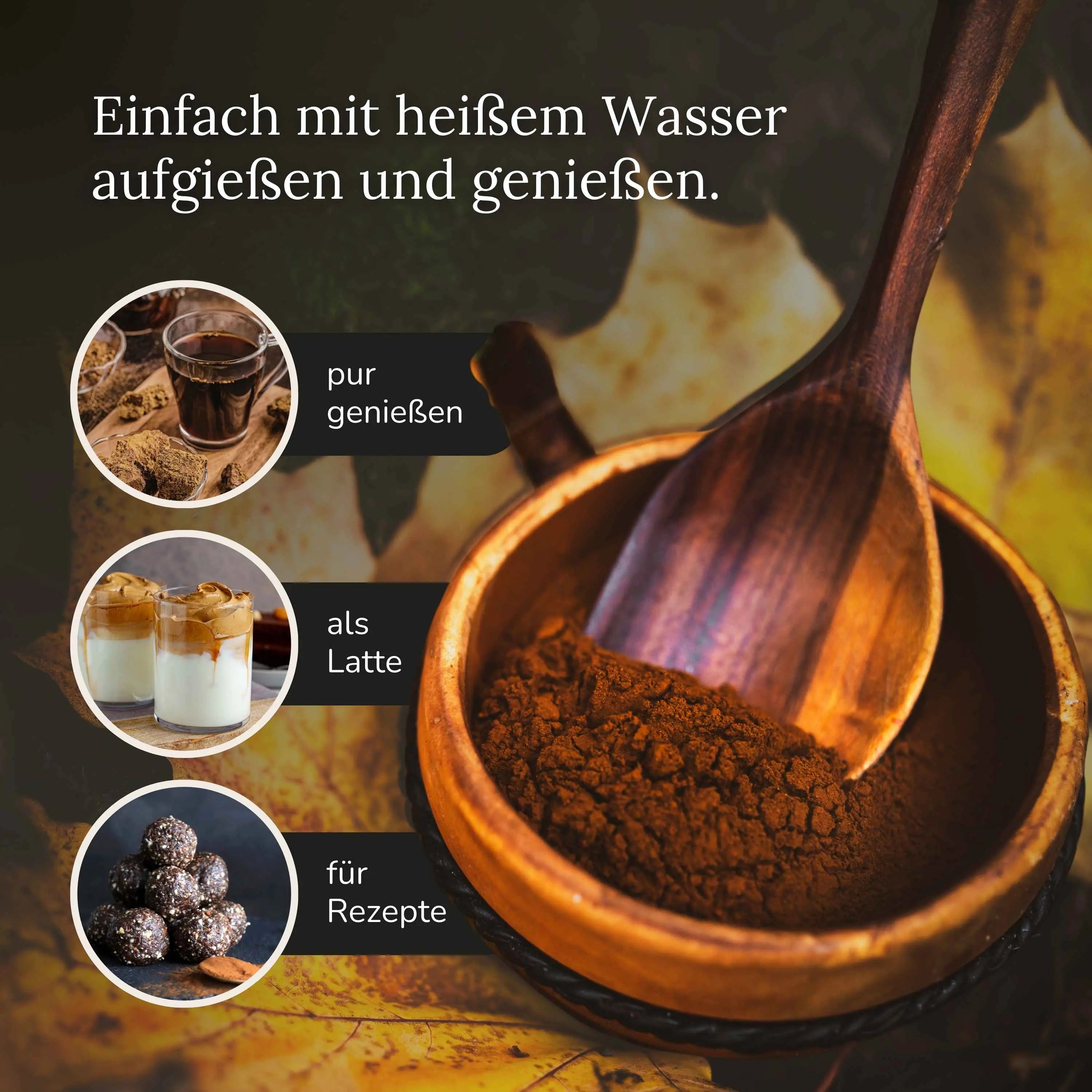 Bio Chaga Extrakt