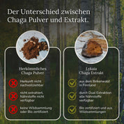 Bio Chaga Extrakt