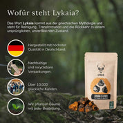 Bio Chaga Extrakt