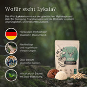 Vegan protein with functional mushrooms