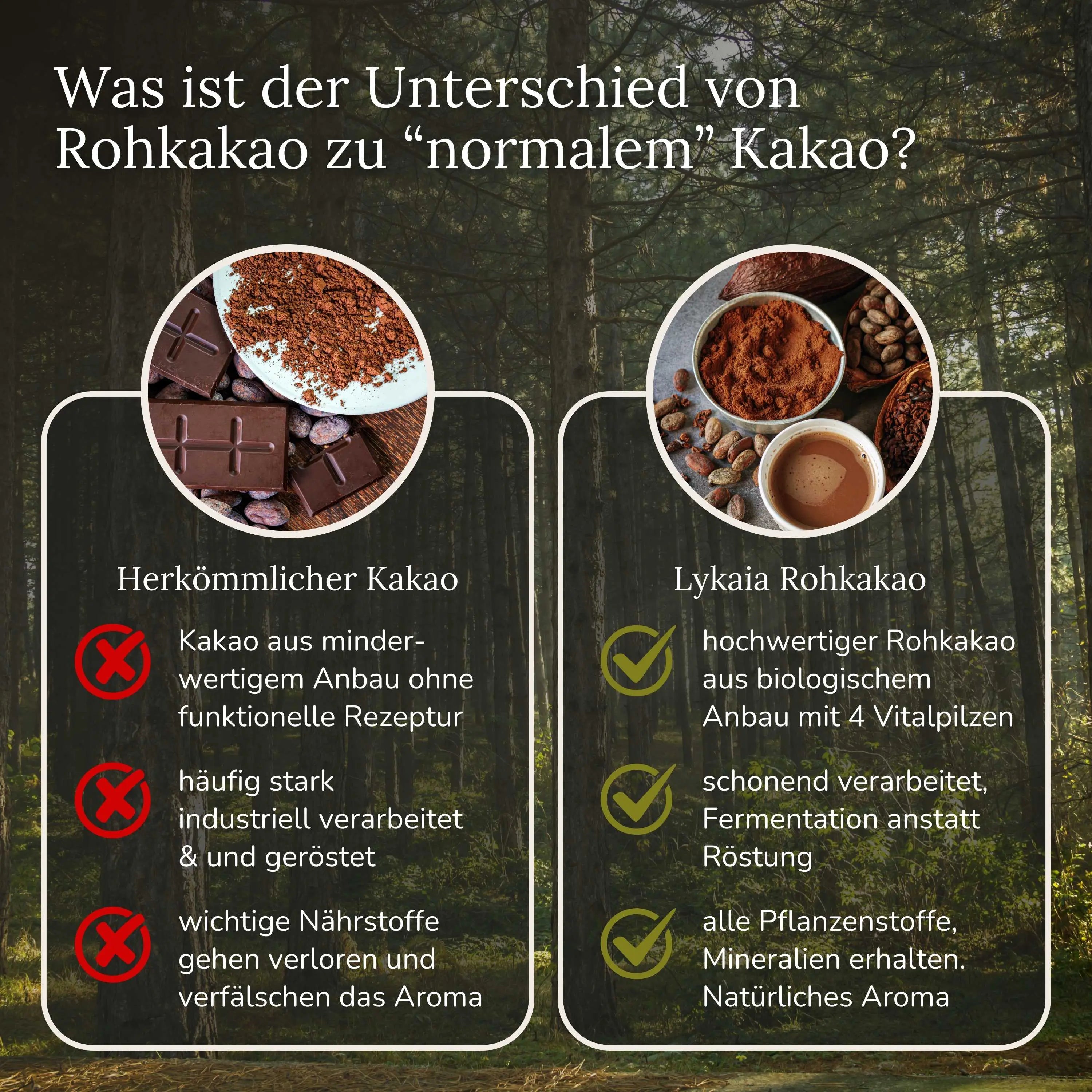 Rohkakao mit Vitalpilzen
