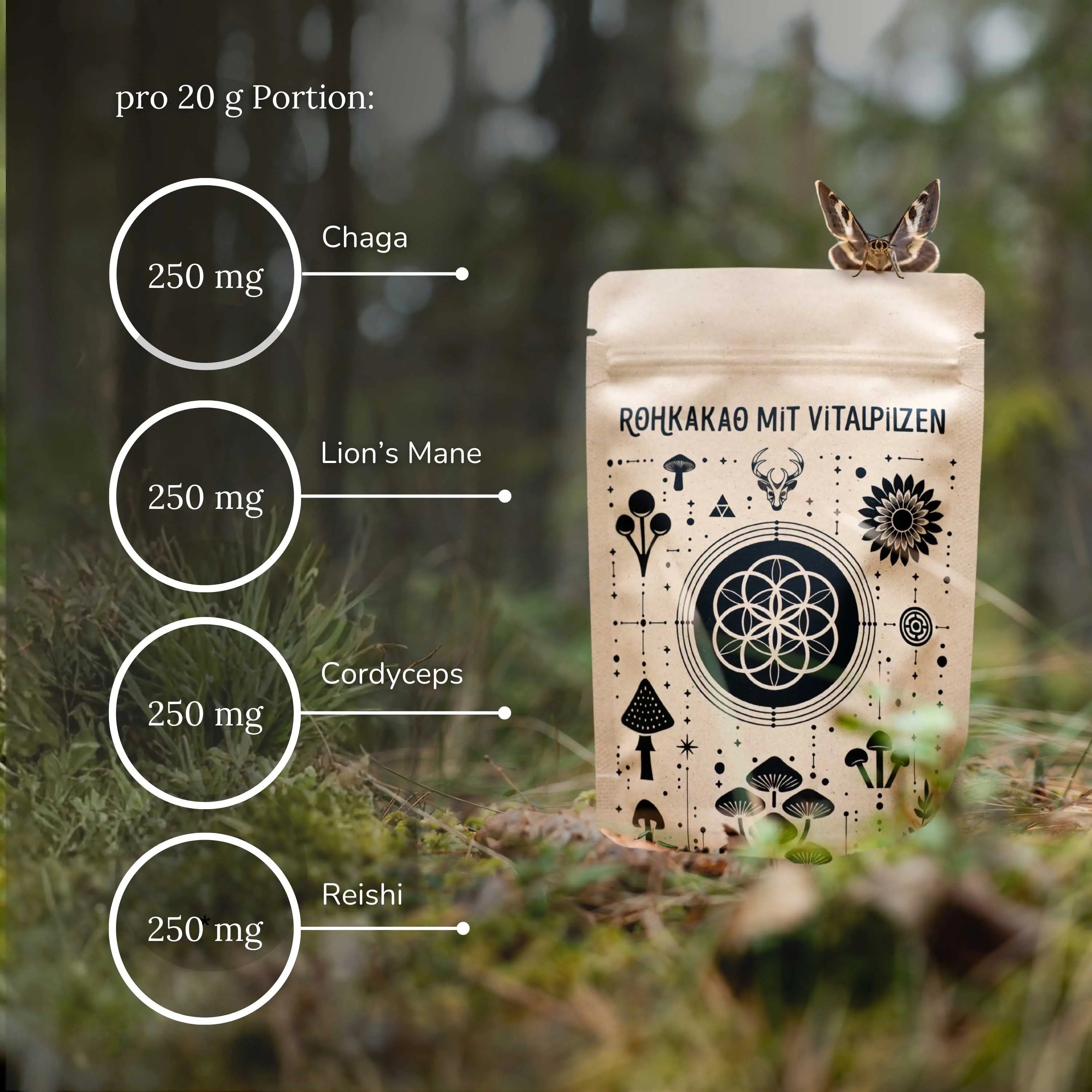 Rohkakao mit Vitalpilzen