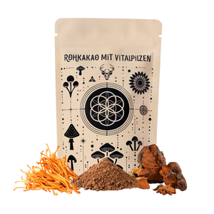 Rohkakao mit Vitalpilzen