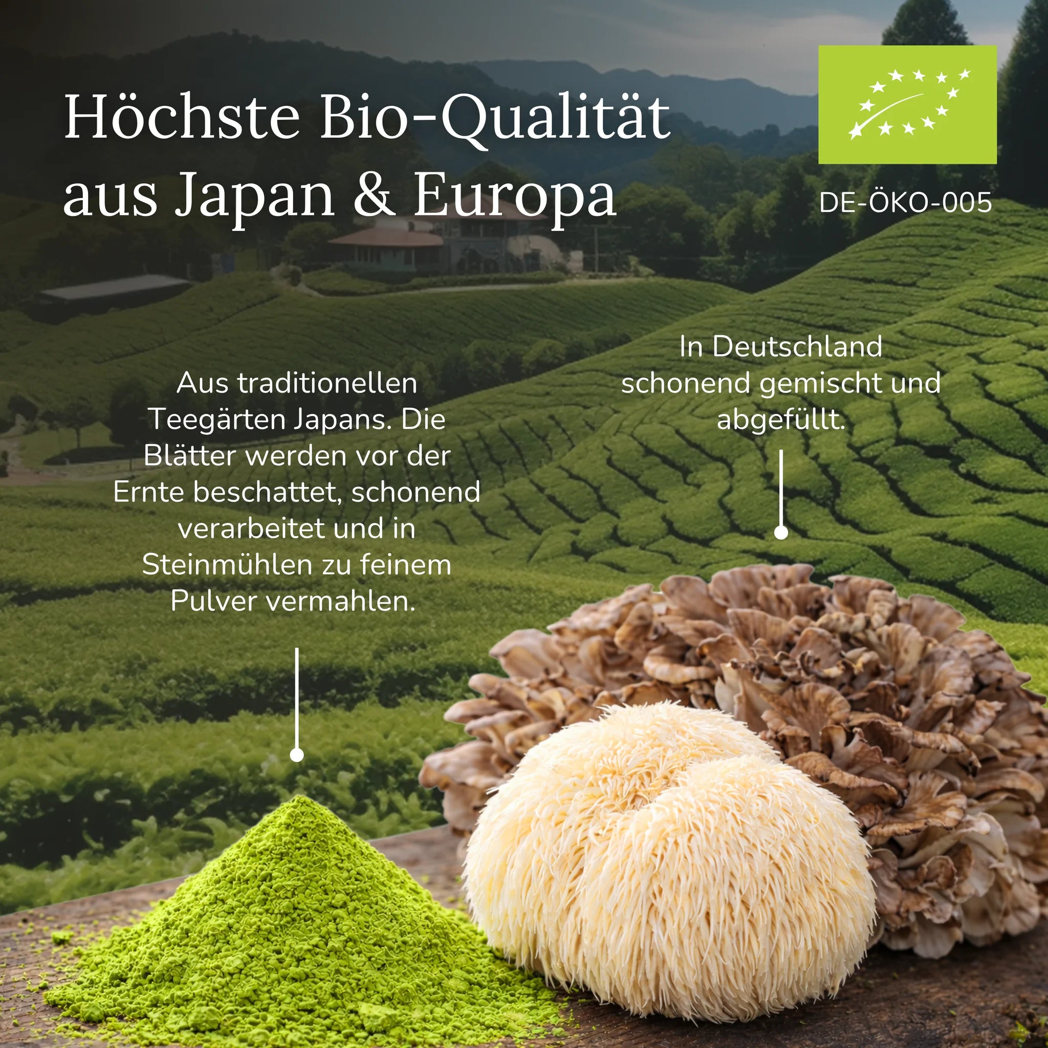 Mushroom Matcha