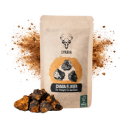 Bio Chaga Extrakt