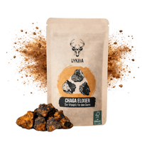 Chaga Elixir