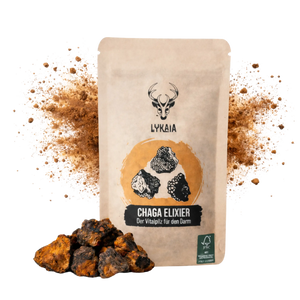 Chaga Elixir