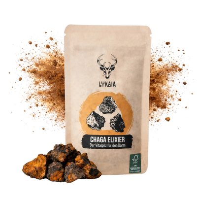 Chaga Elixir