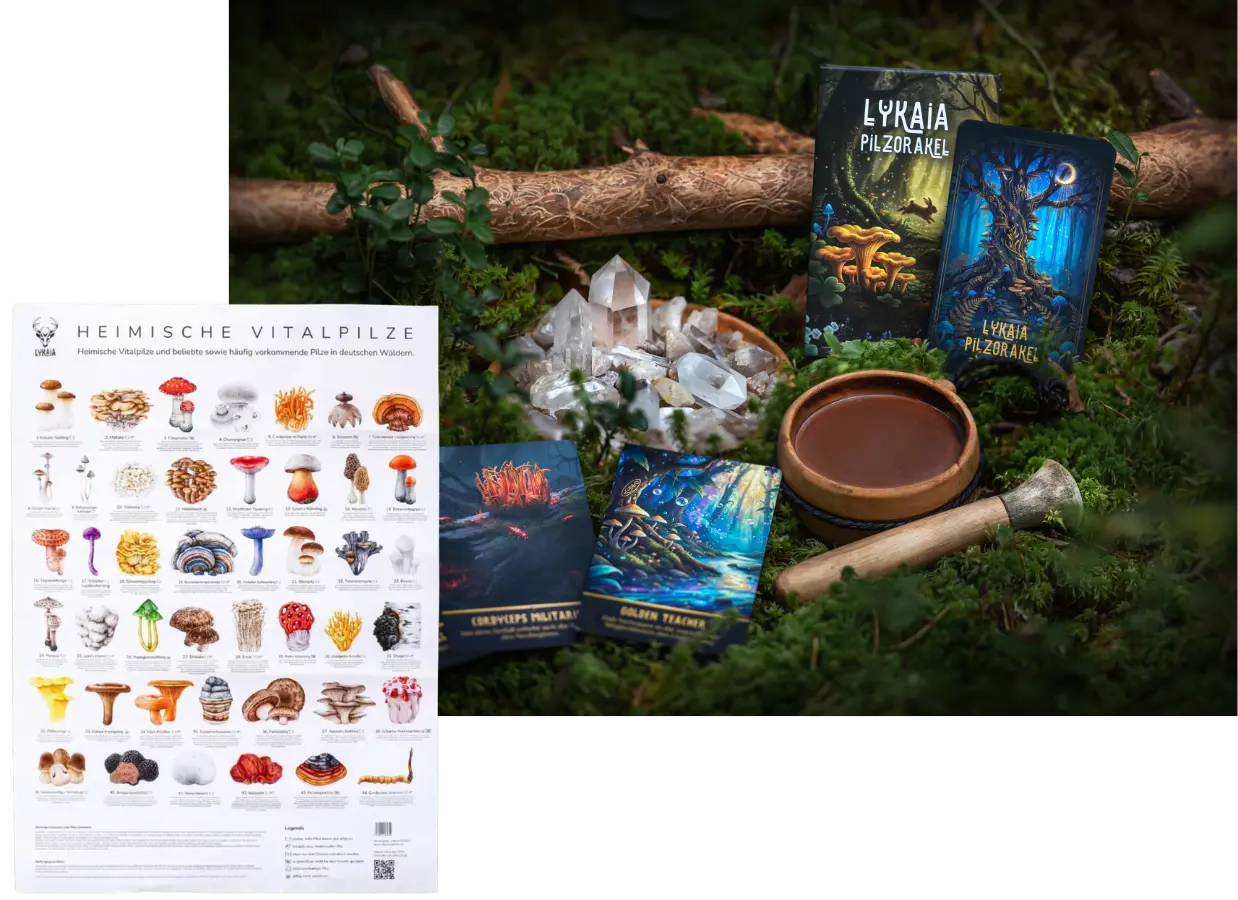 Lykaia_Mails-4.webp
