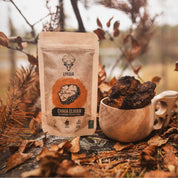 Chaga Elixier