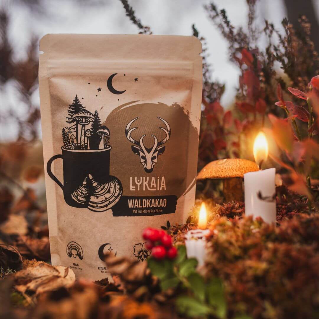 Waldkaffee + Waldkakao Bundle