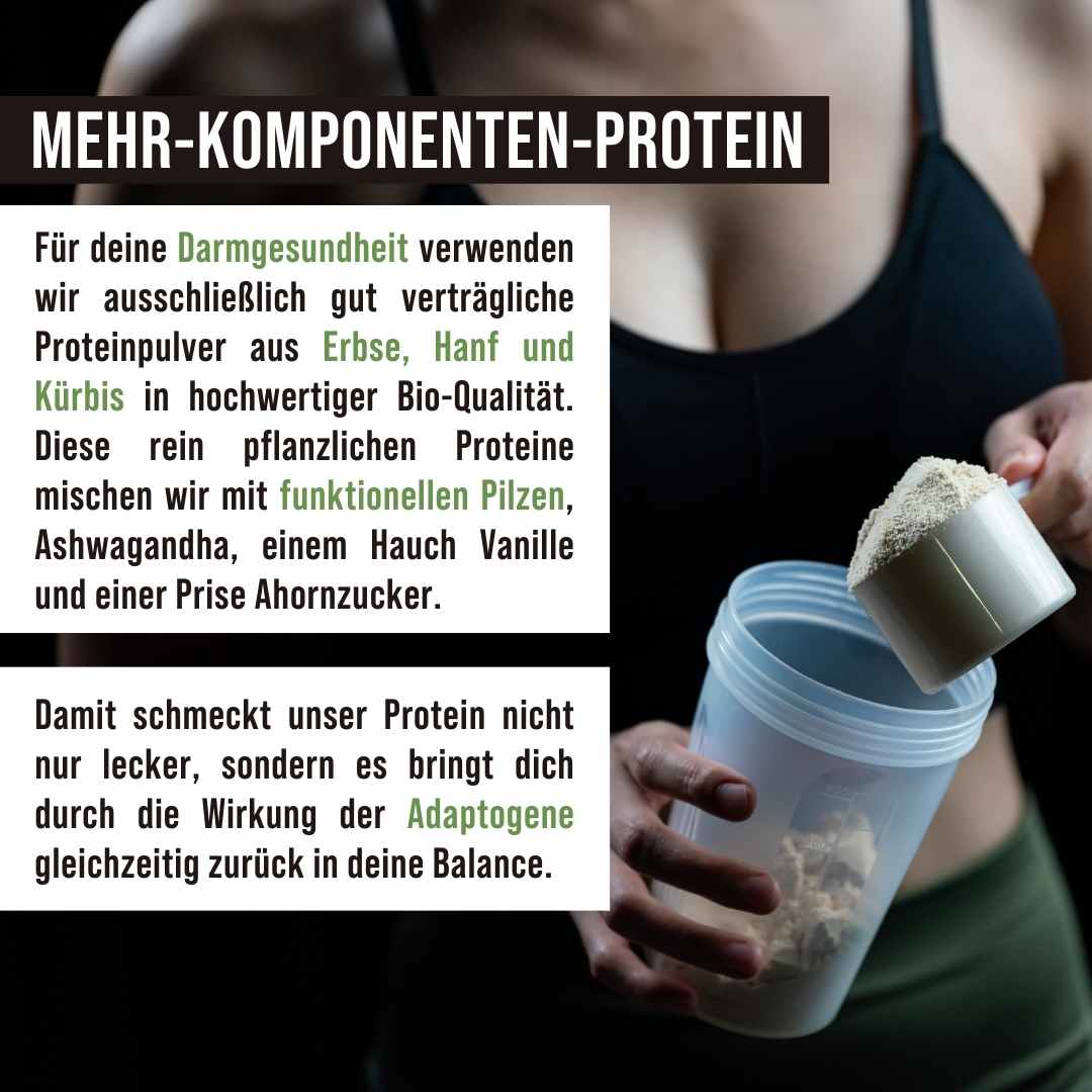 Veganes Protein mit funktionellen Pilzen