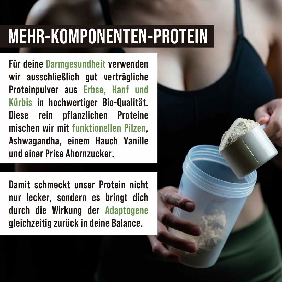 Vegan protein with functional mushrooms
