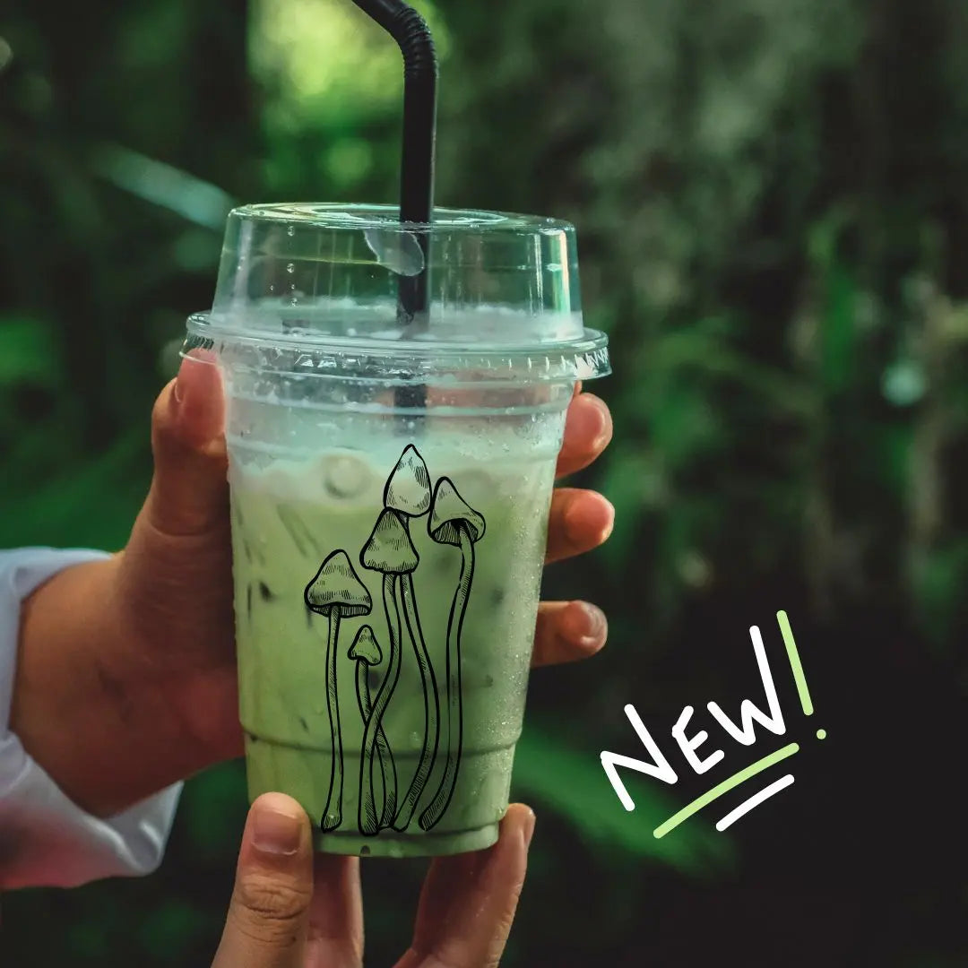 Mushroom Matcha