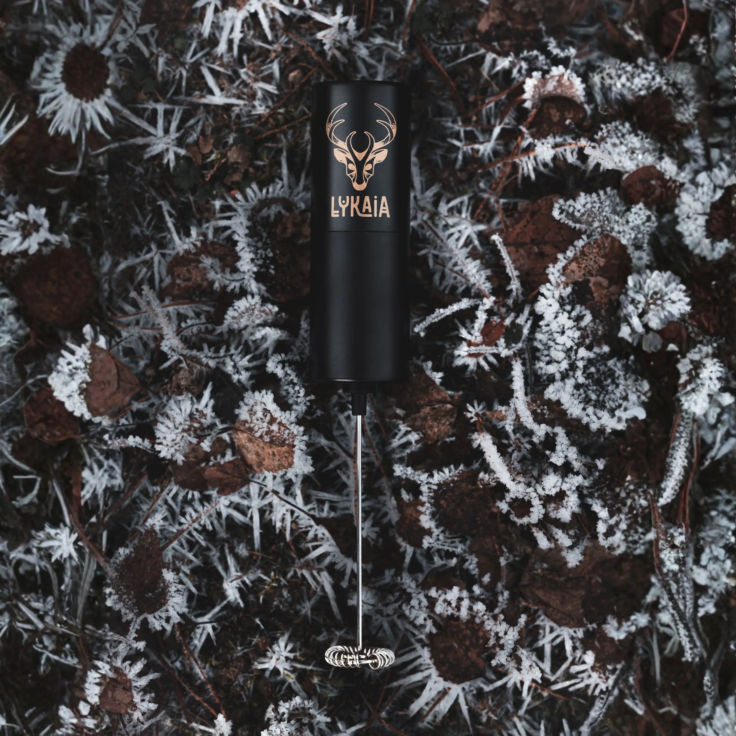 Milchaufschäumer Moosling