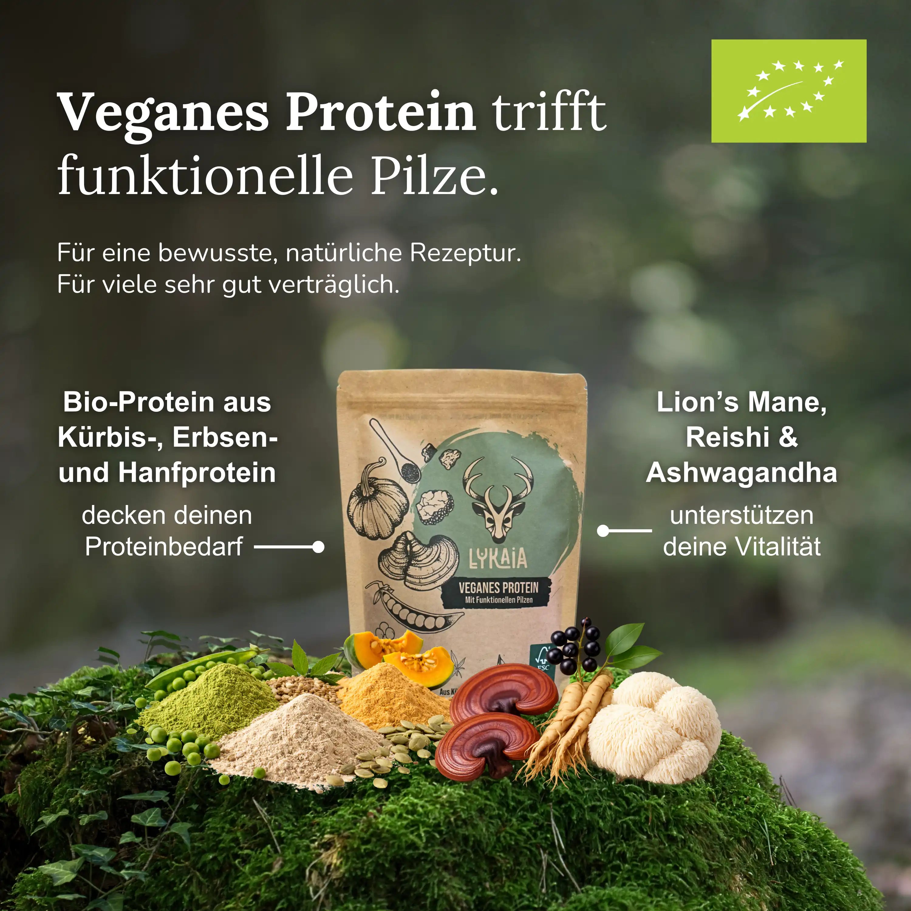 Veganes Mushroom Protein