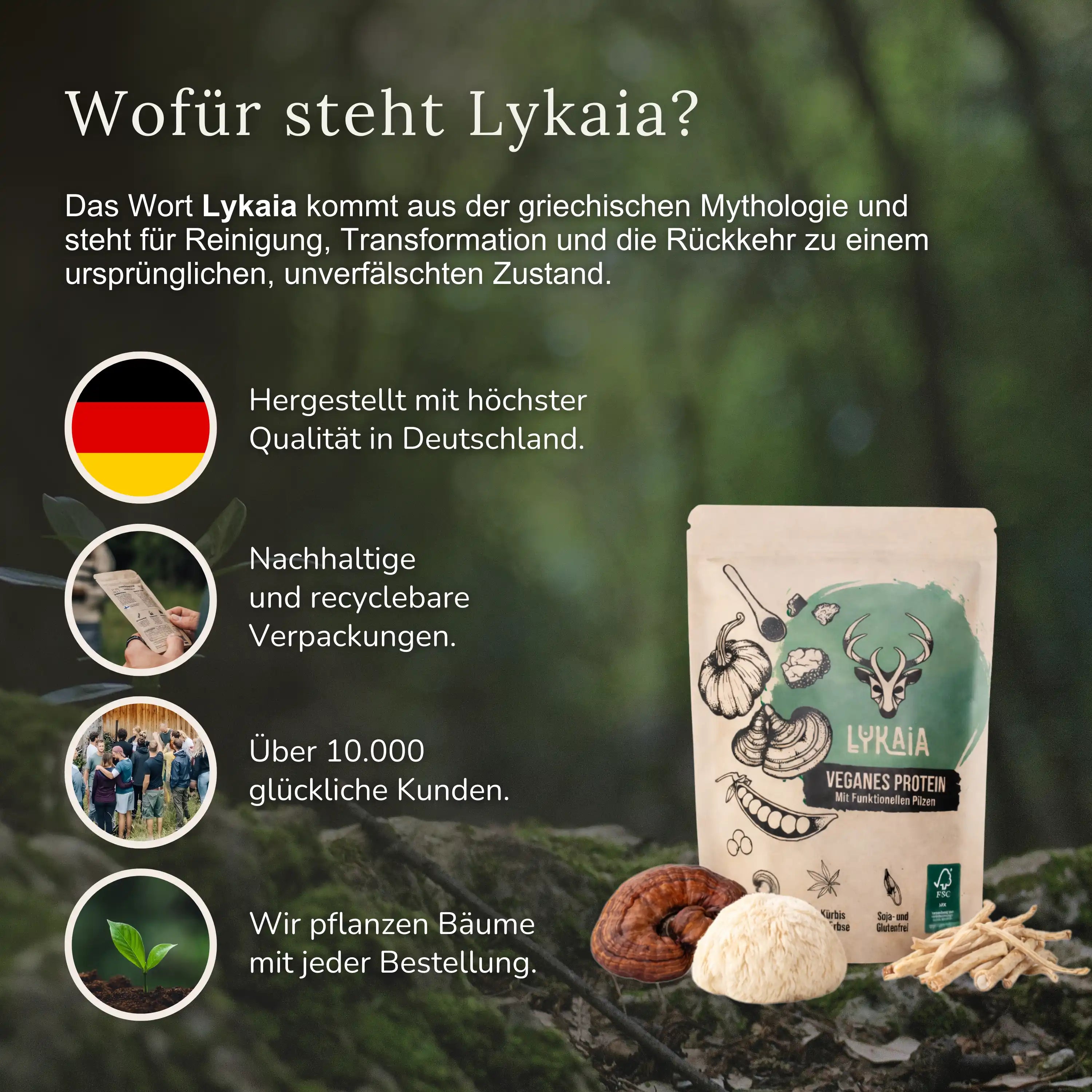 Veganes Mushroom Protein