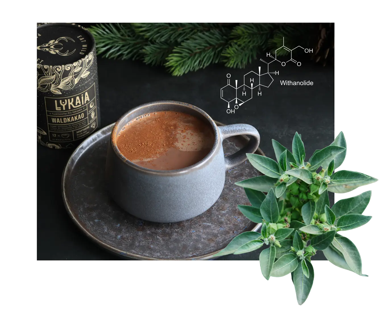 Waldkakao_Ashwagandha.webp