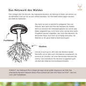 Beispielseite Das Netzwerk des Waldes aus dem Lykaia eBook
