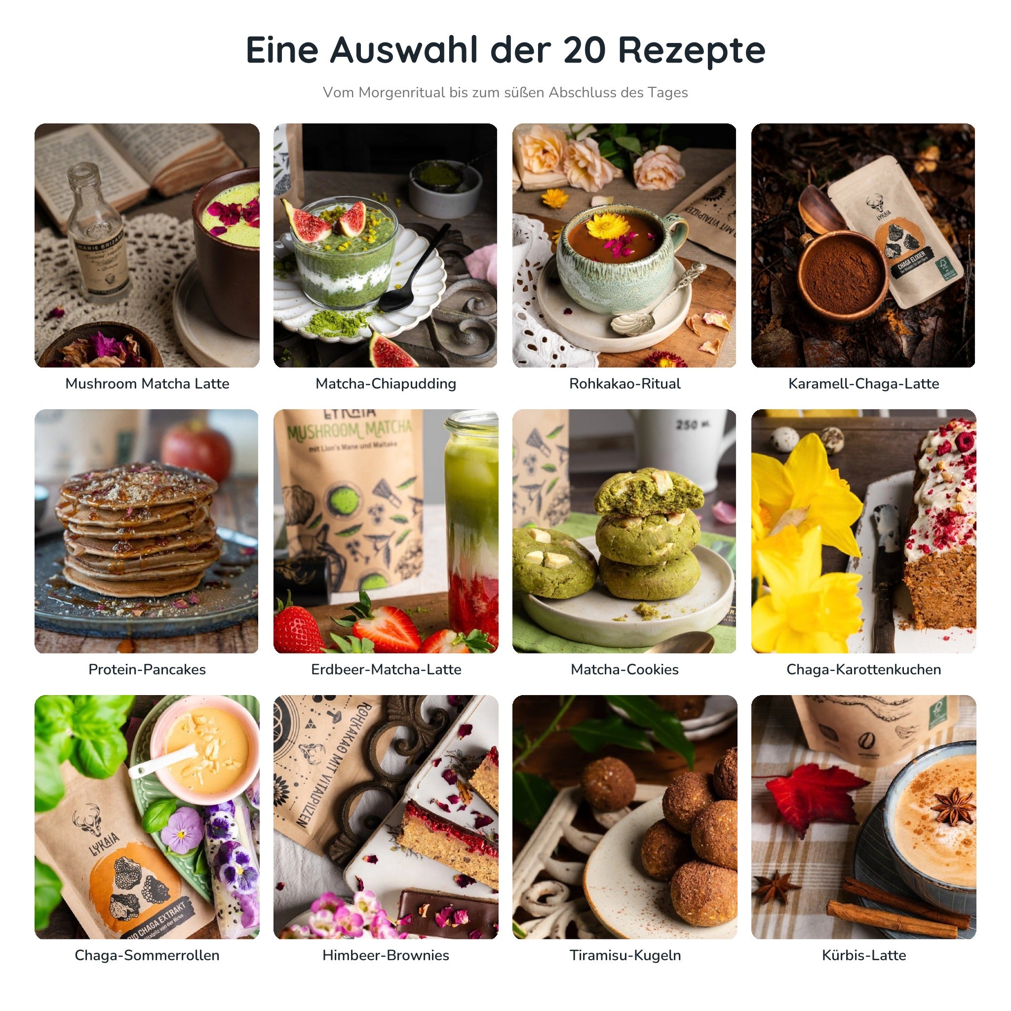 Auswahl der Rezepte im Lykaia Pilz eBook