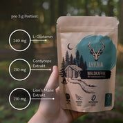 LYKAIA Waldkaffee pro 3 g Portion: 240 mg L-Glutamin, 210 mg Cordyceps-Extrakt, 210 mg Lion’s-Mane-Extrakt