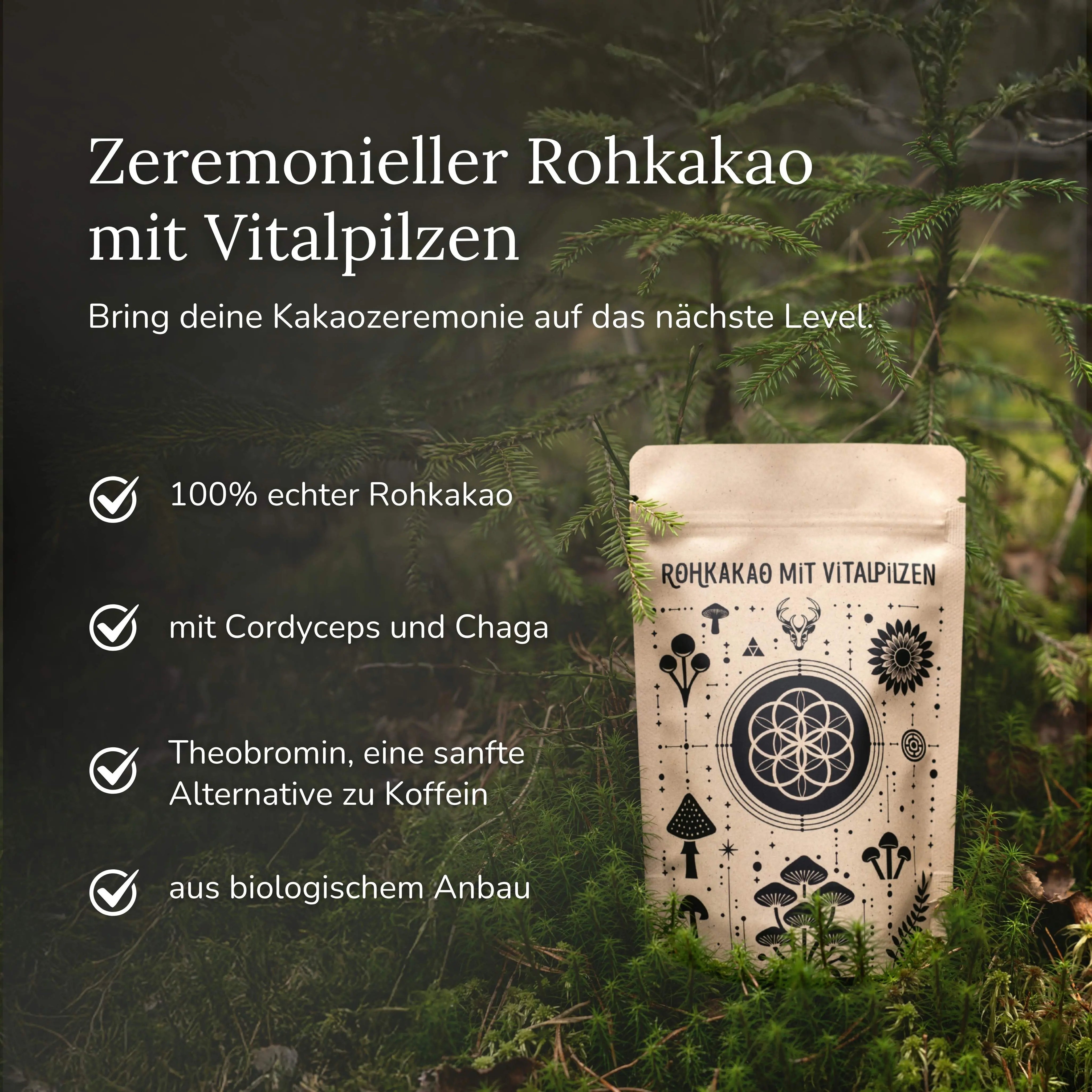 Rohkakao mit Vitalpilzen
