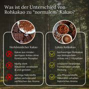Rohkakao mit Vitalpilzen