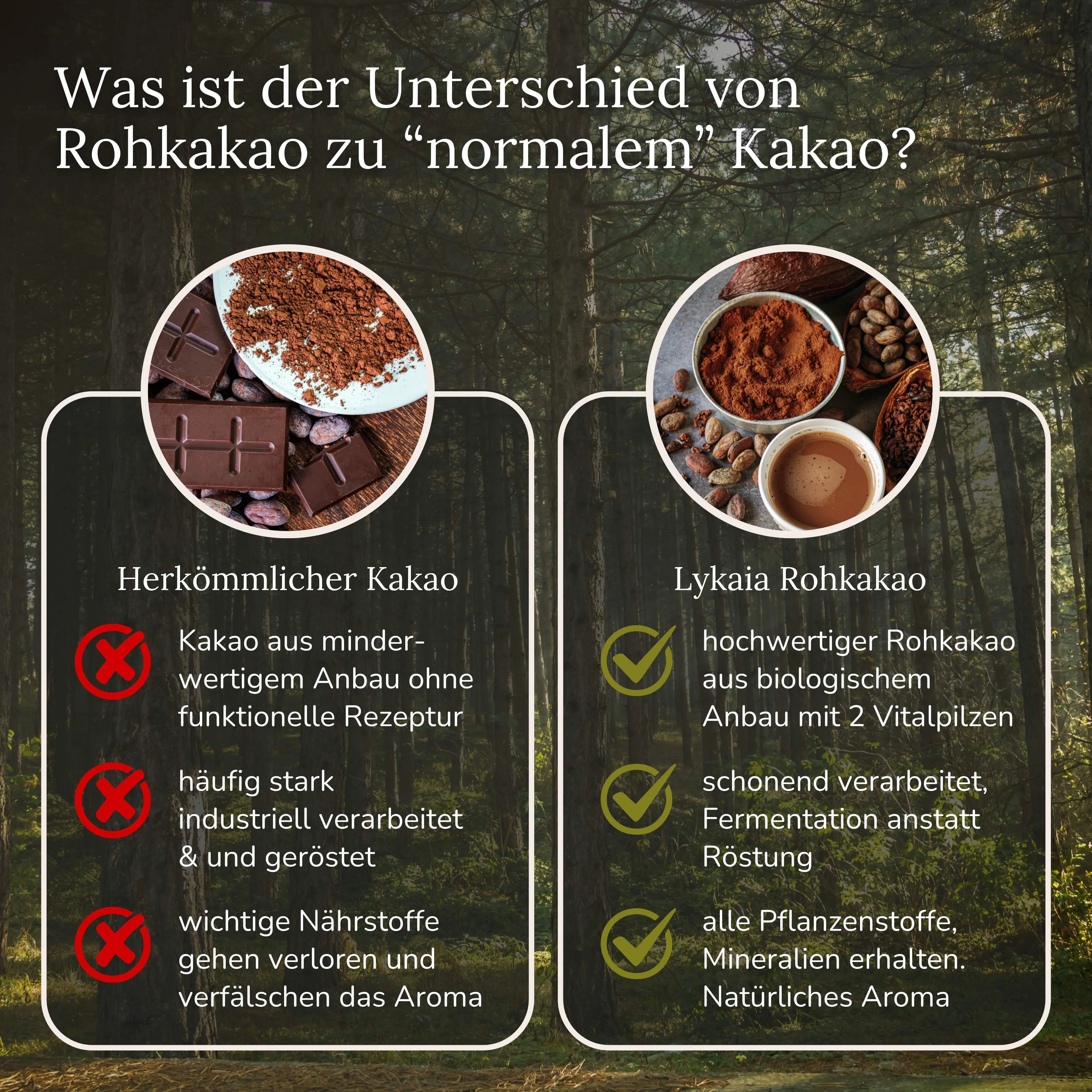 Rohkakao mit Vitalpilzen