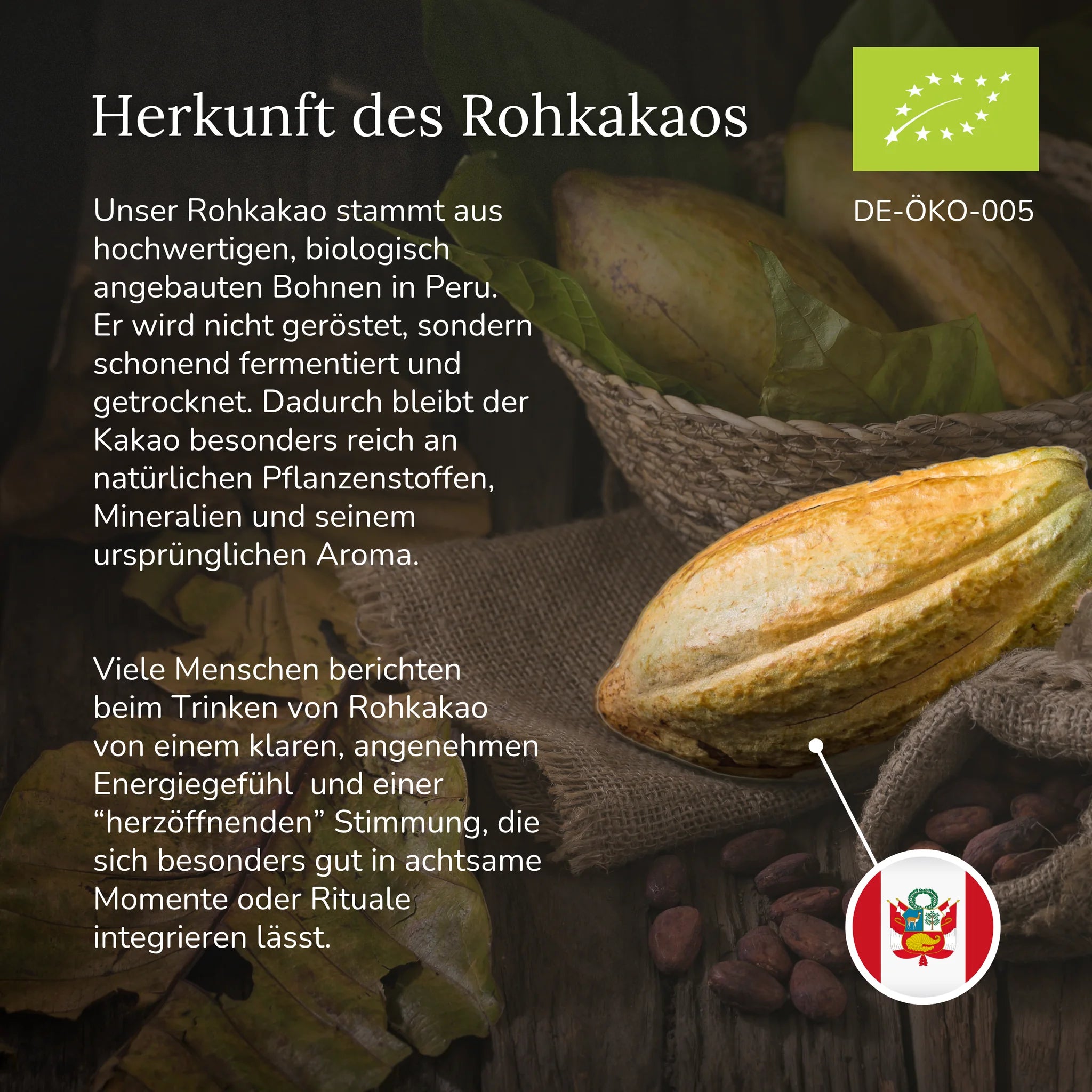 Rohkakao mit Vitalpilzen