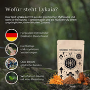 Rohkakao mit Vitalpilzen