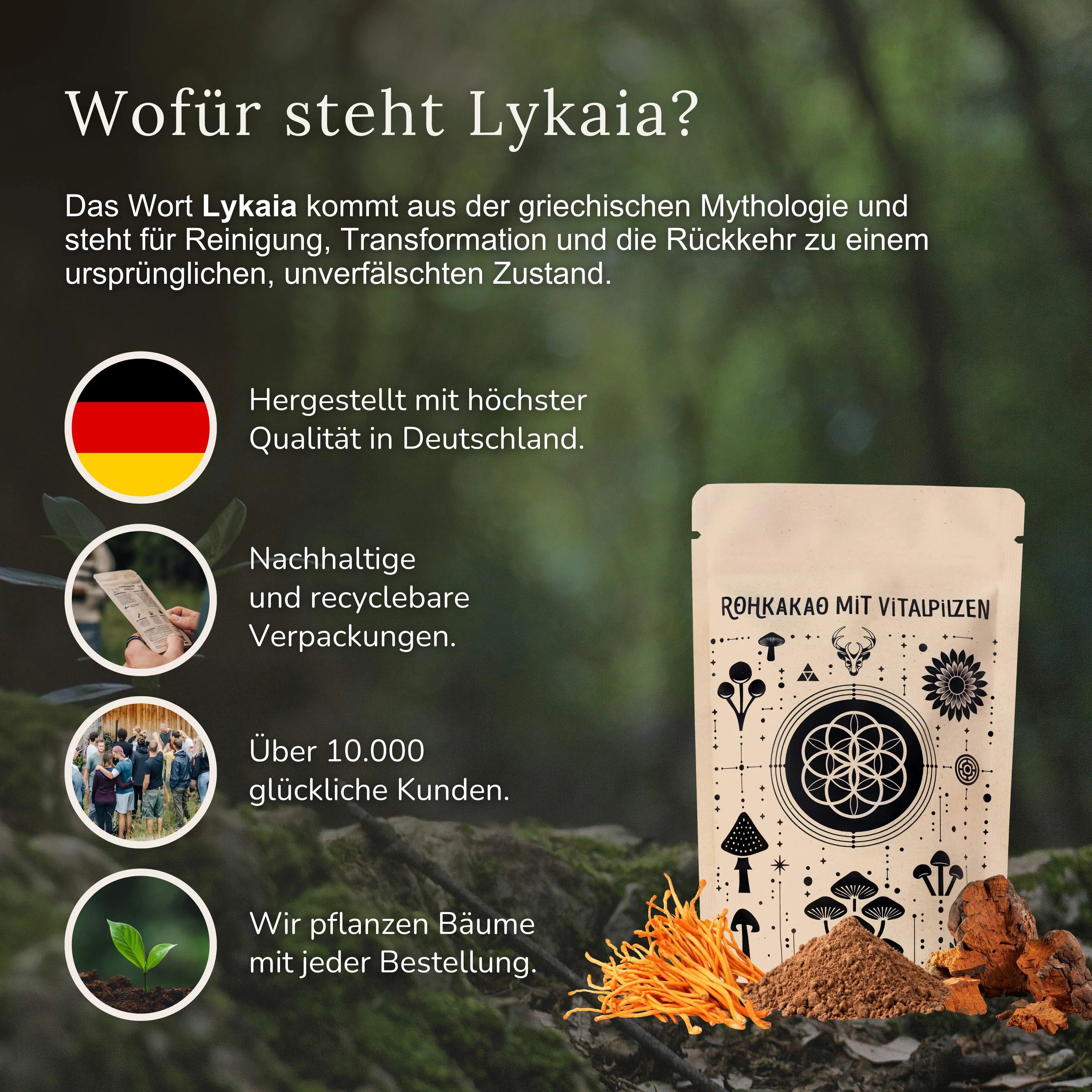 Rohkakao mit Vitalpilzen