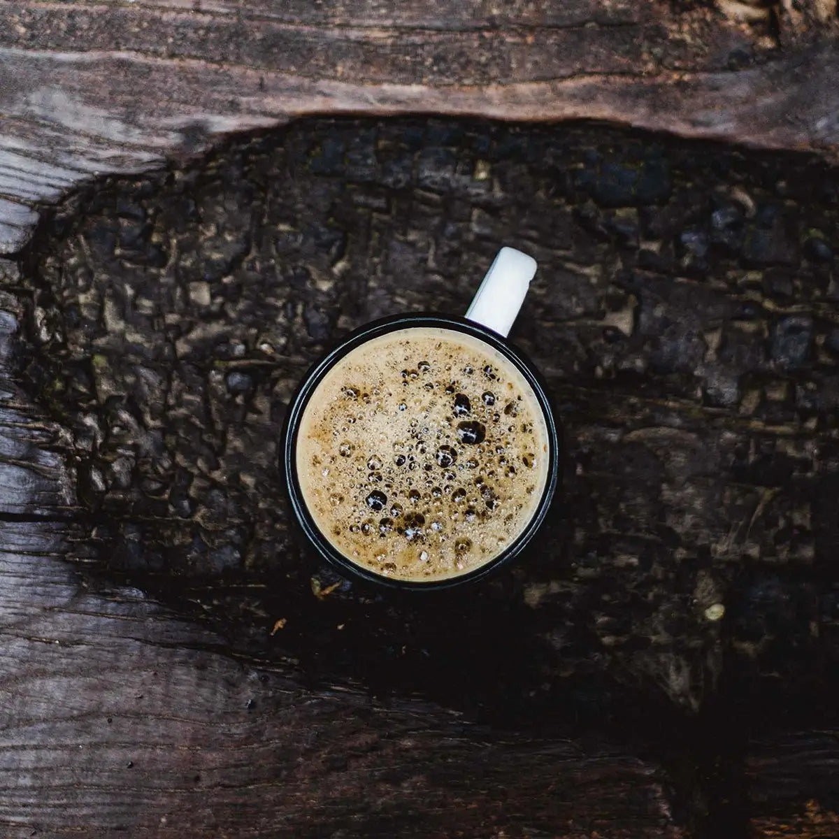 Chaga Elixir